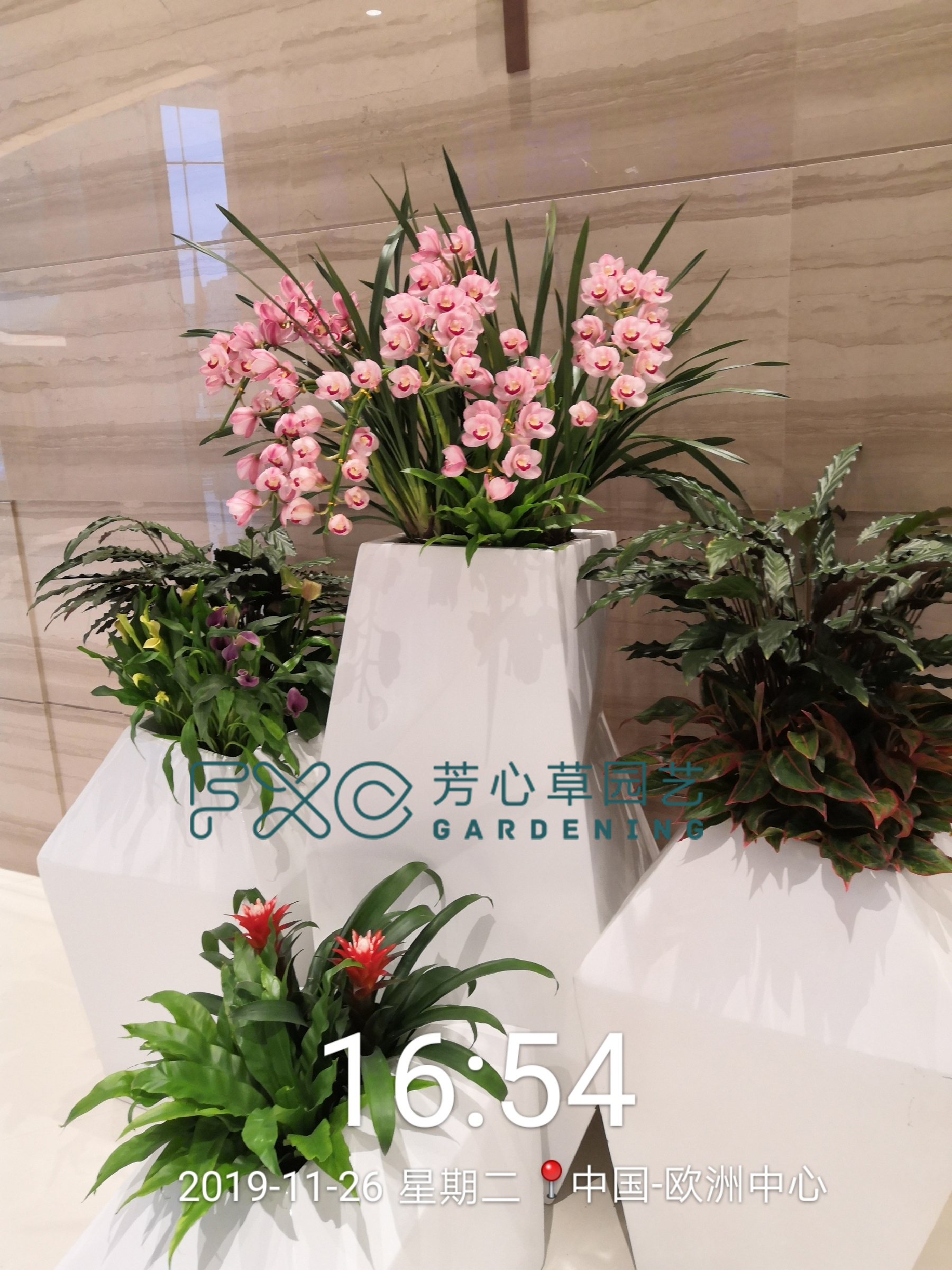 微信图片_20191128112242.jpg