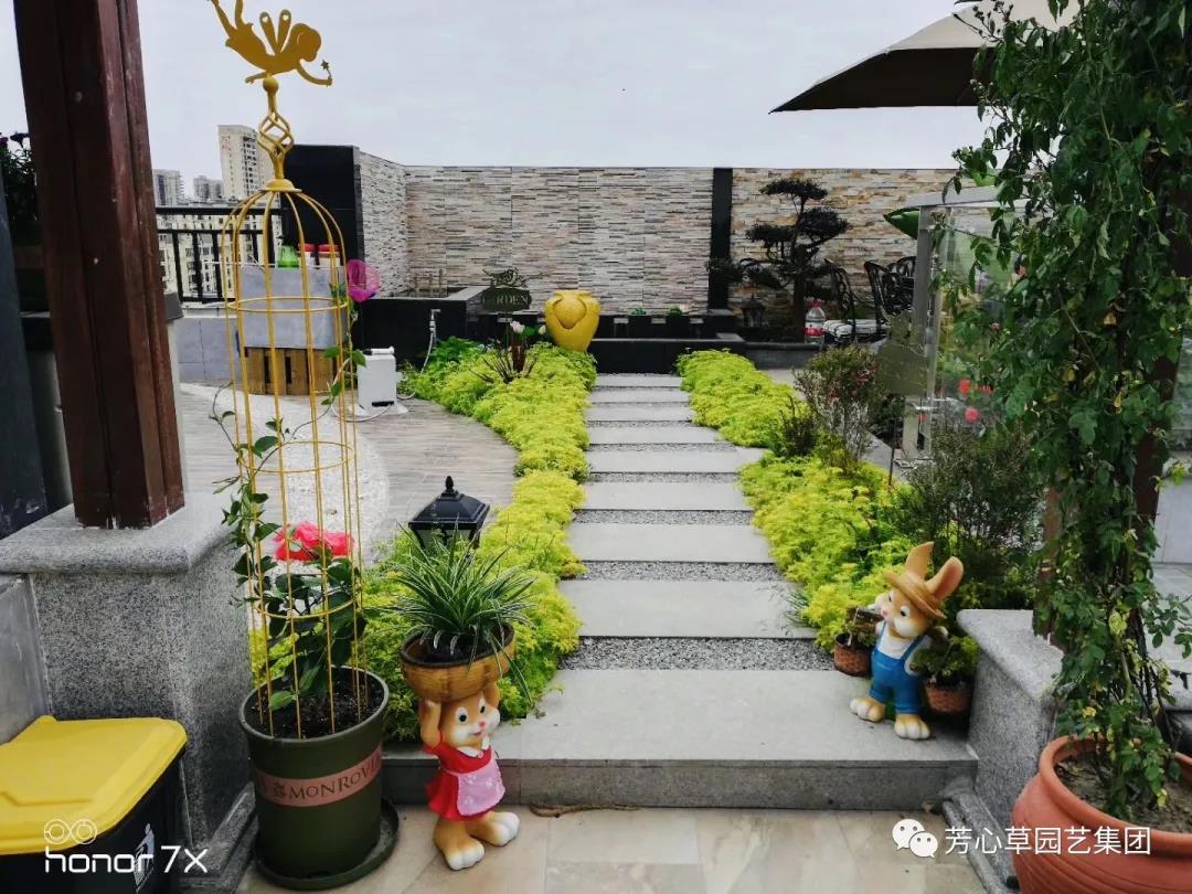重庆好看还能吃的蔬菜花园设计案例来啦,种花种菜两