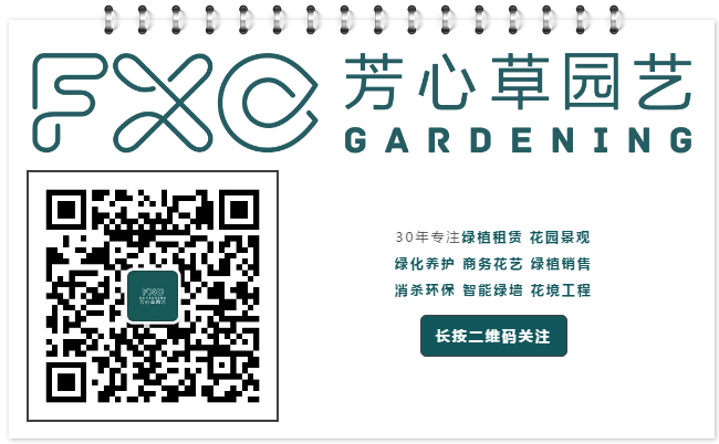 企业微信截图_15994582323106.png
